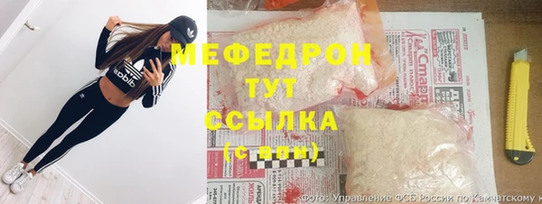 индика Абаза