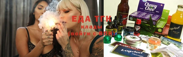 индика Абаза