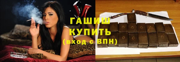 индика Абаза
