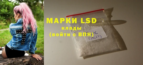 индика Абаза