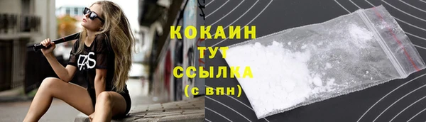 индика Абаза