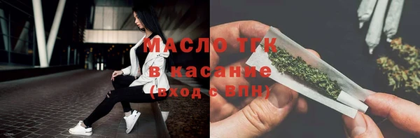 индика Абаза