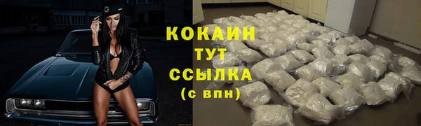индика Абаза