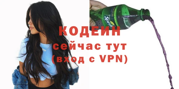 индика Абаза