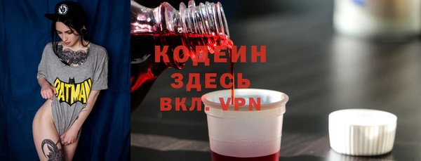 индика Абаза