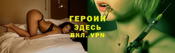 индика Абаза
