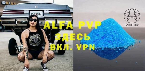индика Абаза