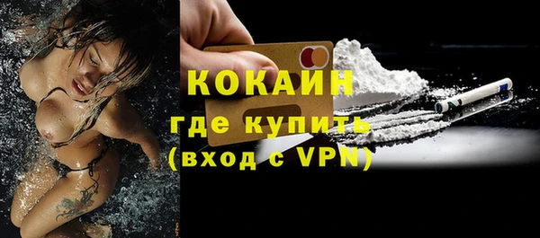 индика Абаза