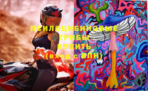 индика Абаза