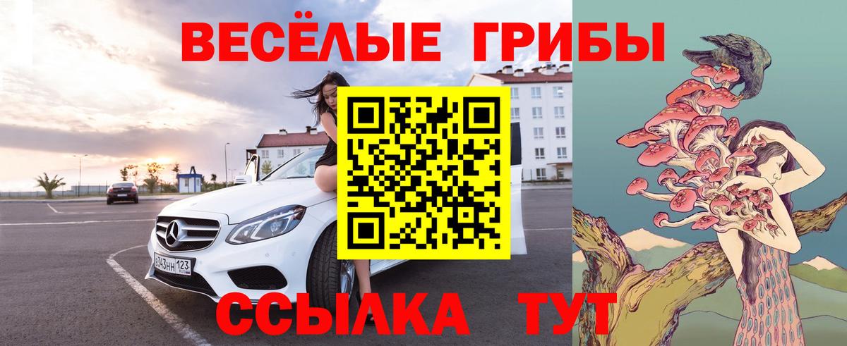 Псилоцибиновые грибы ЛСД  Вход с VPN  Воронеж 