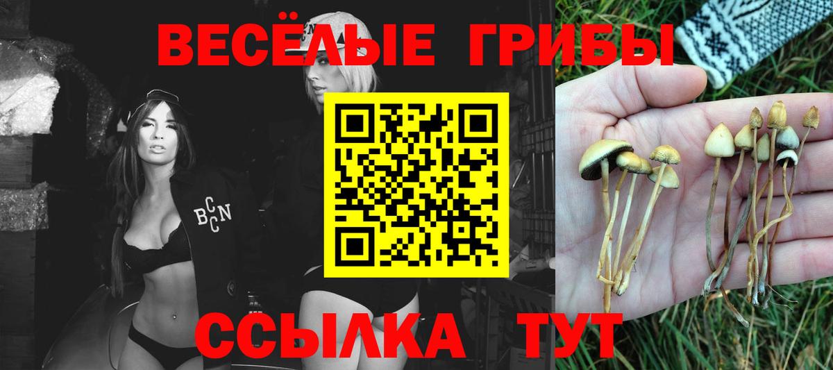 Галлюциногенные грибы Magic Shrooms Воронеж