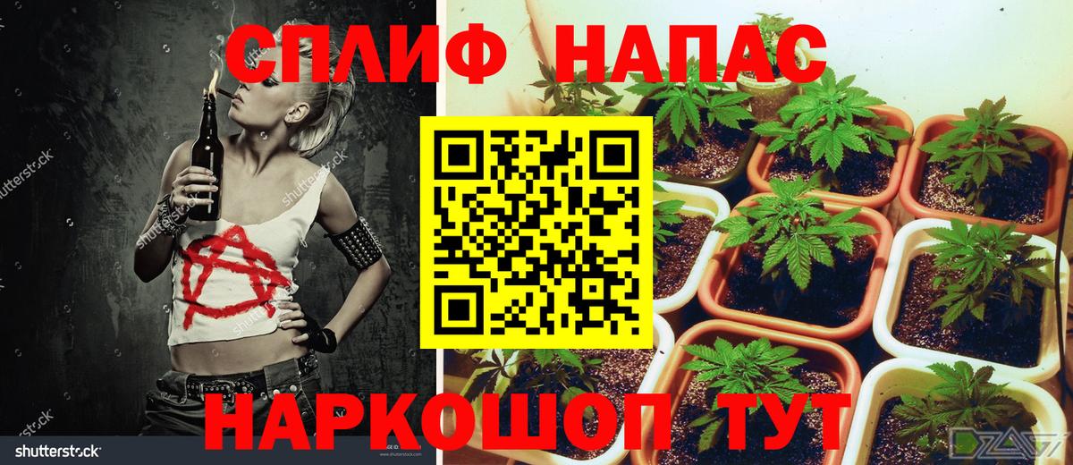 Конопля конопля  Бошки Шишки VHQ  Воронеж  Бошки Шишки AK-47  Вход с VPN  Бошки марихуана сатива 